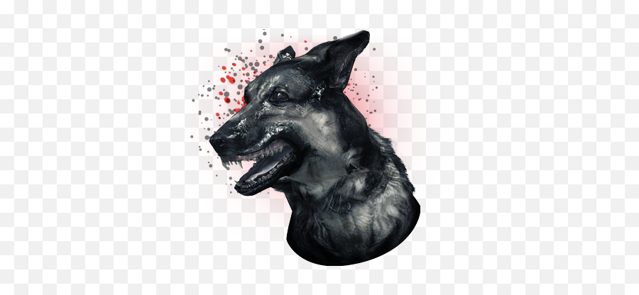 Attack Dogs Killstreak Call Of Duty Wiki Fandom - Call Of Duty Vanguard Dogs Png,Watch Dogs Icon Download