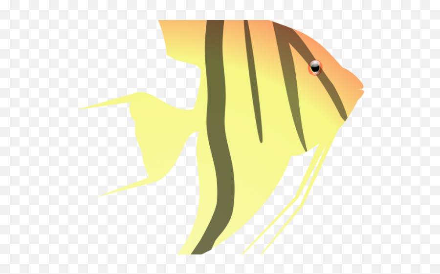 Angel Fish Cliparts - Akvaryum Balk Png,Angel Halo Transparent Background