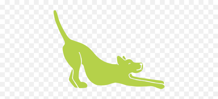 Services U2014 Pet Fit - Animal Figure Png,Dog Buddy Icon