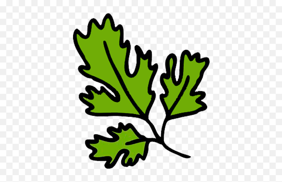 Pelegrini Saison - Beermodcom Cilantro Vector Png,Cilantro Icon