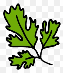 Pelegrini Saison - BeerModcom Cilantro Vector png