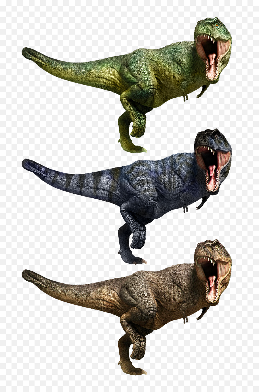 Tyrannosaurus T Rex - Free Image On Pixabay Png,Tyrannosaurus Rex Png