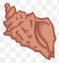 Concha Desenhada De Mão - Illustration Png,Concha Png