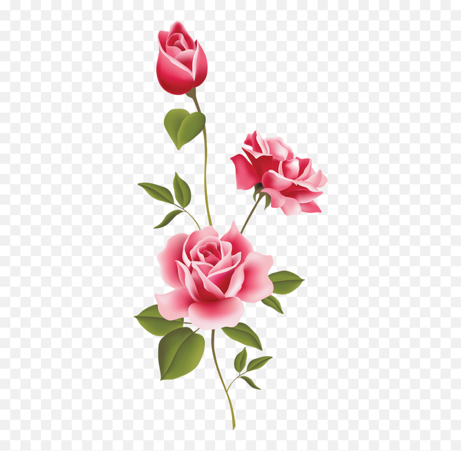 Download Hd Pink Roses Clip Art Rose Png - Clipart Rose Transparent Png Flower,Pink Rose Png
