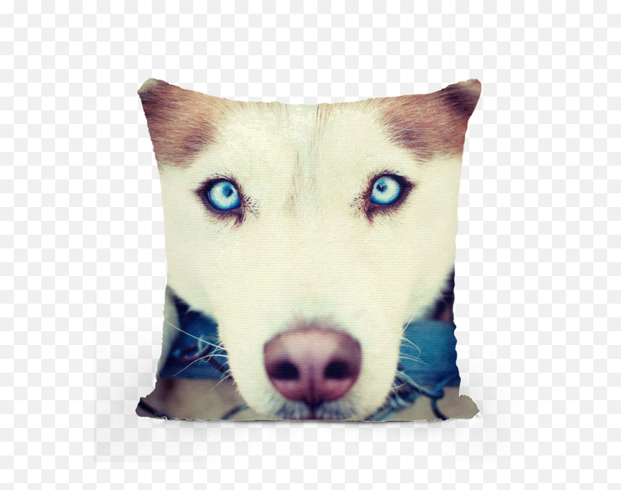 Siberian Husky Dog Sequin Cushion Cover - Saber Si Es Husky Original Png,Husky Png