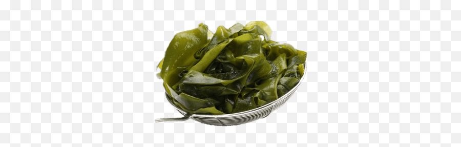 Fresh Seaweed Transparent Png