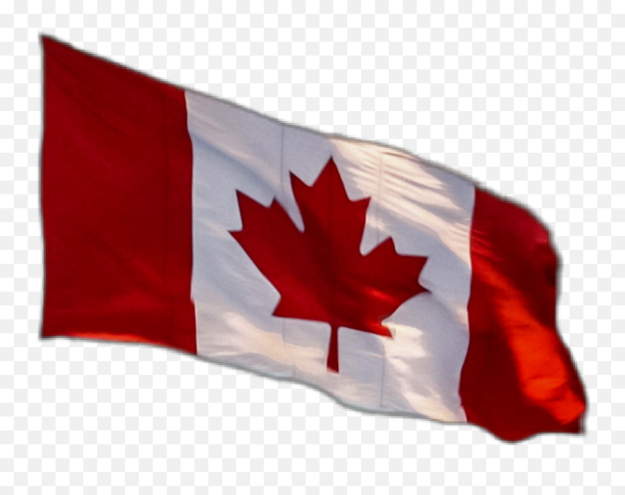Canadianflag Canadaflag Flag Canada - Love Canada Png,Canada Flag Transparent