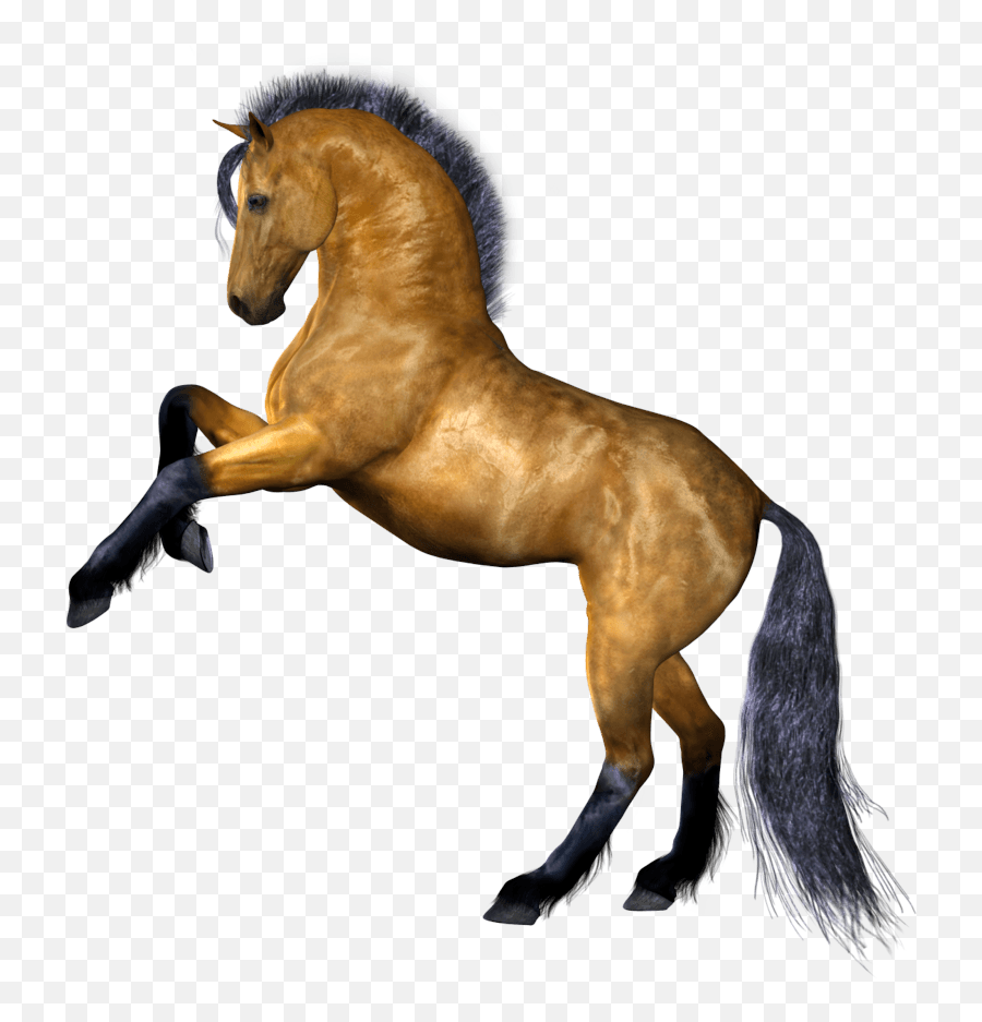 Horse Png Image Download Picture - Horse Png,Horse Transparent Background
