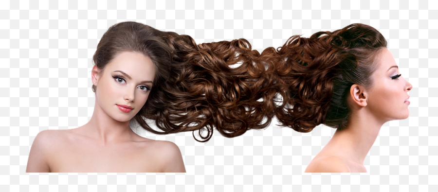 Hairdress Hair Curls - Free Photo On Pixabay Png,Hair Model Png