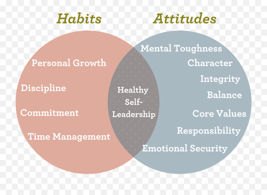 Character - Educationvenndiagram1 Growing Leaders Apprenticeship And Internship Venn Diagram Png,Venn Diagram Png