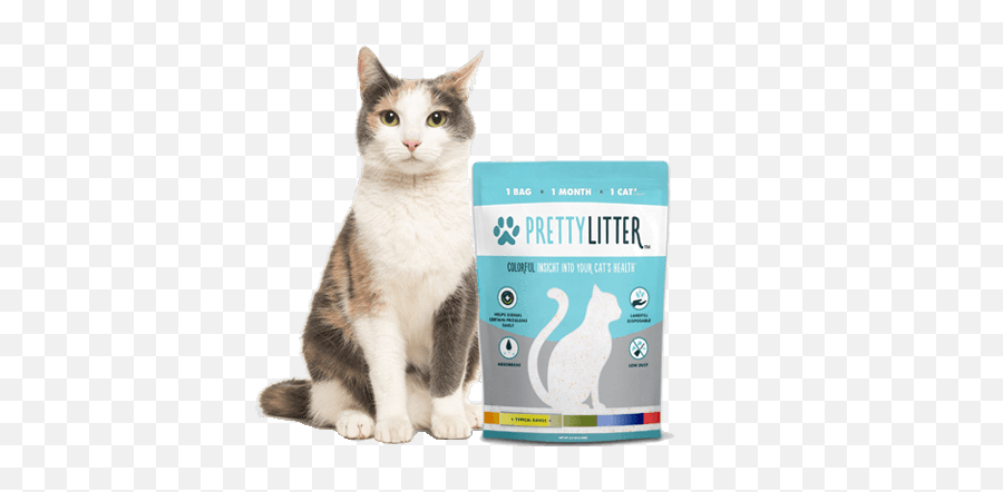 Prettylitter - Health Monitoring Cat Litter Delivered Gato Blanco Gris Y Naranja Png,Cat Whiskers Png