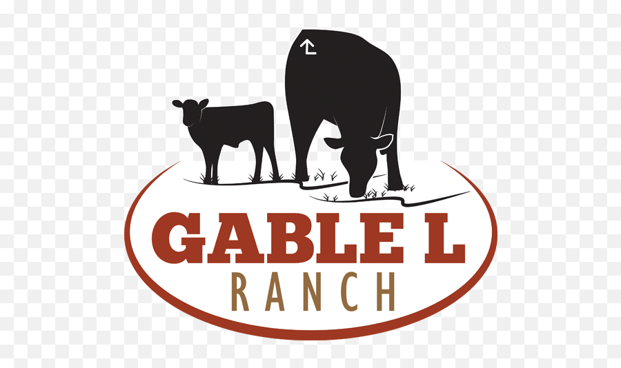 Logo Design - Ranch House Designs Cattle Livestock Ranch Logos With Cow Png,Farm Logos