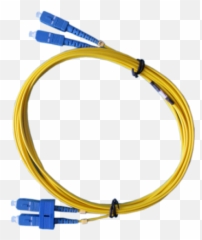 Patch Cords Canovate - Ethernet Cable Png,Cord Png