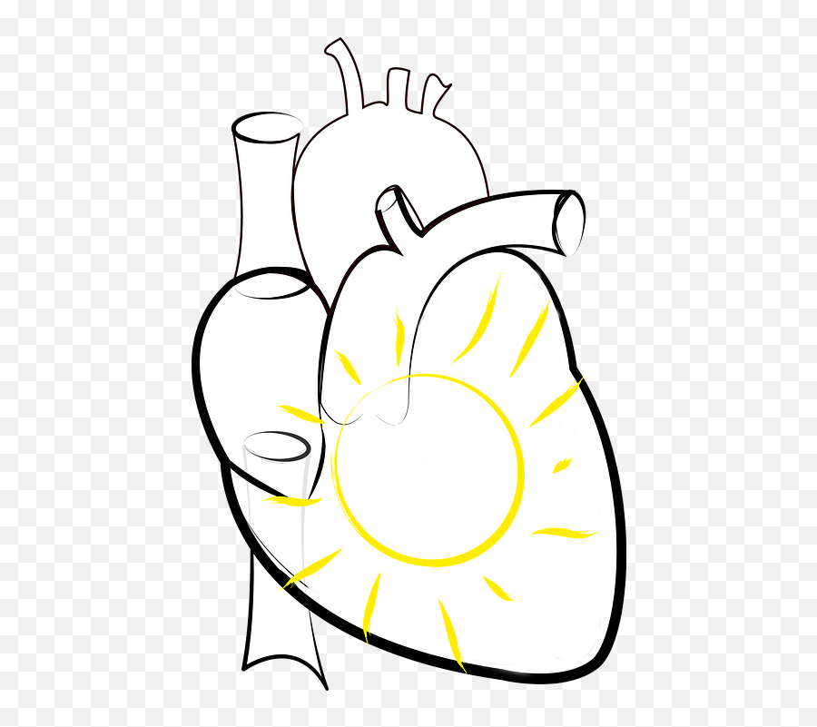 Download Hd Heart Sun In The Figure Of Speech - Love Failure Drawing Hd Png,Sun Outline Png