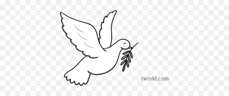 Dove And Olive Branch Illustration - Twinkl Language Png,Olive Branch Png