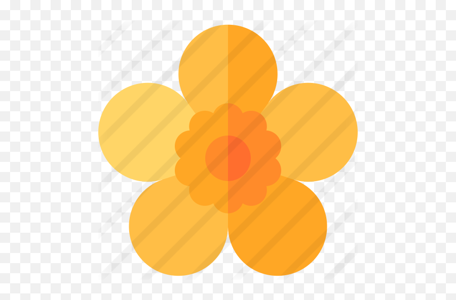 Buttercup - Flower Png,Buttercup Png
