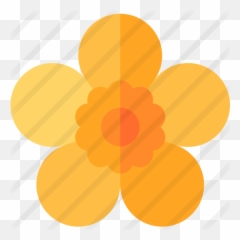 Buttercup - Flower Png,Buttercup Png