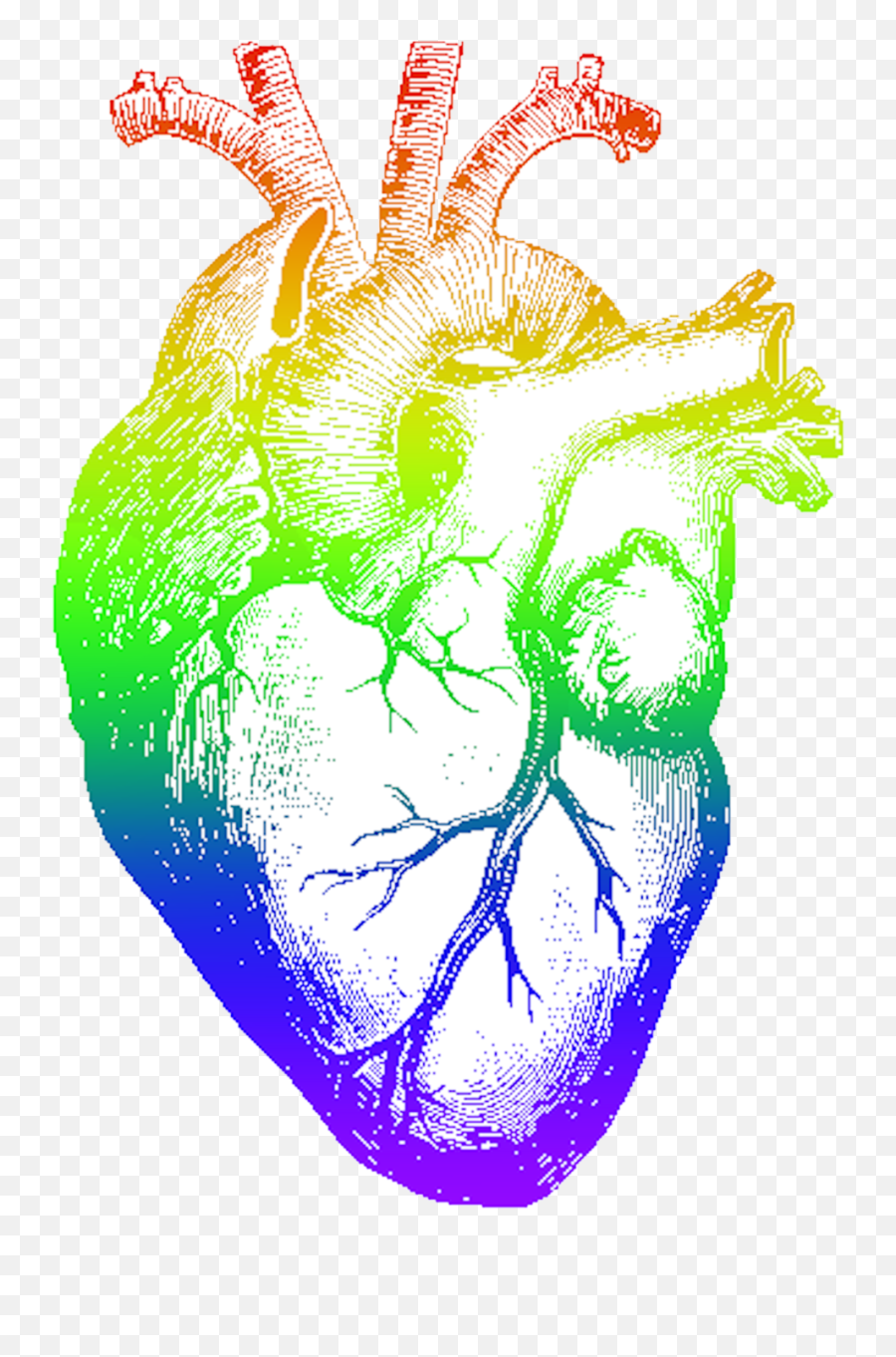 Download Rainbow Heart Png Image With - Realistic Pencil Heart Drawing,Rainbow Heart Png