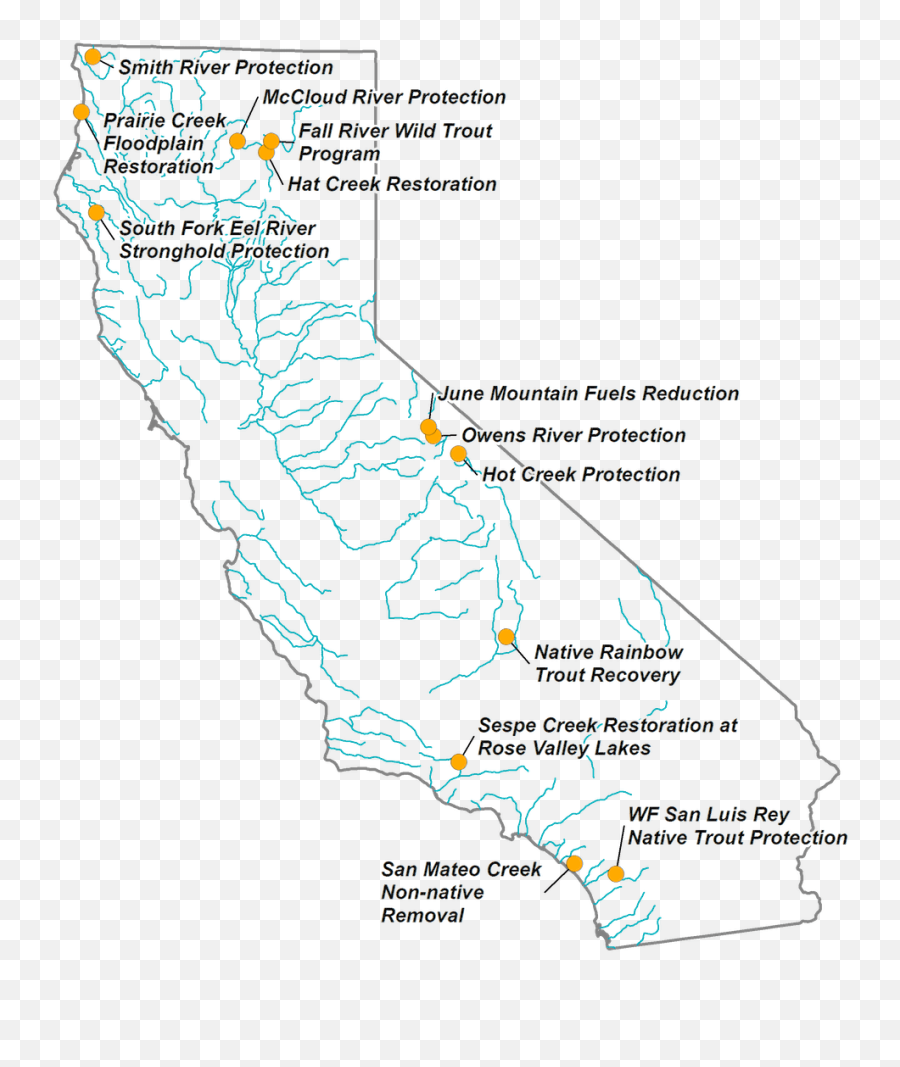 Protect The Best California Trout - Vertical Png,Transparent Ribbon Eel