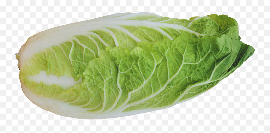 Download Salad Png Image For Free - Chinese Cabbage Transparent Background,Salad Png