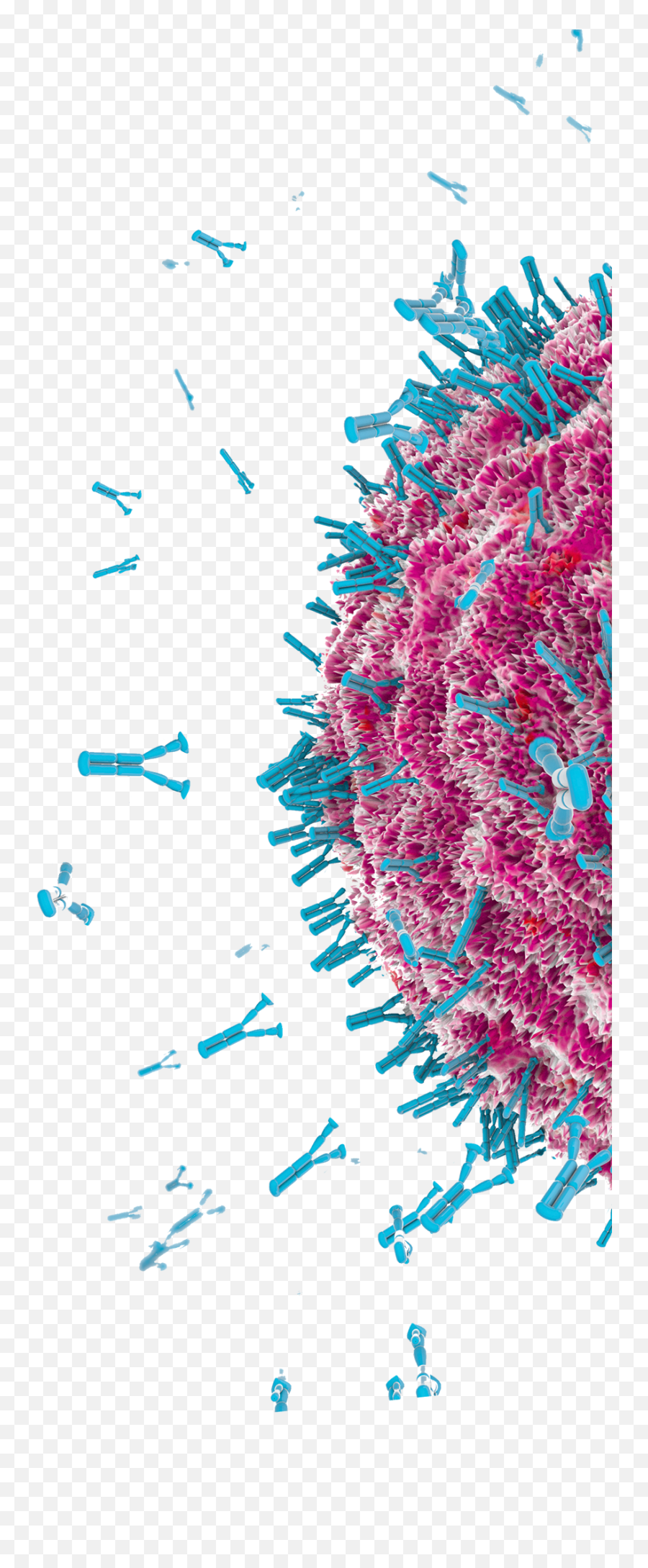 Hifibio - Dot Png,Antibody Png