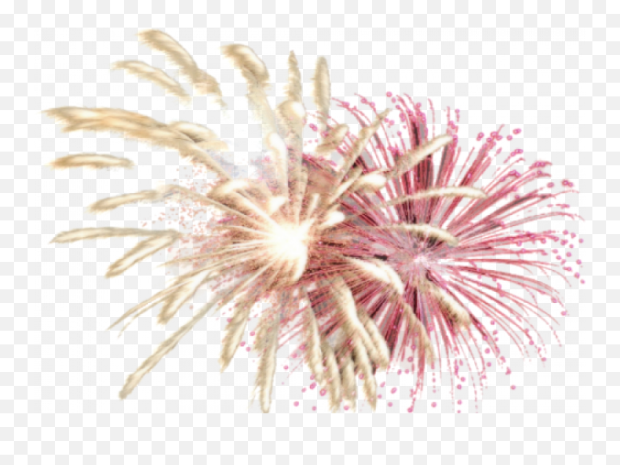 Fireworks Png Picture Web Icons Clipart Transparent