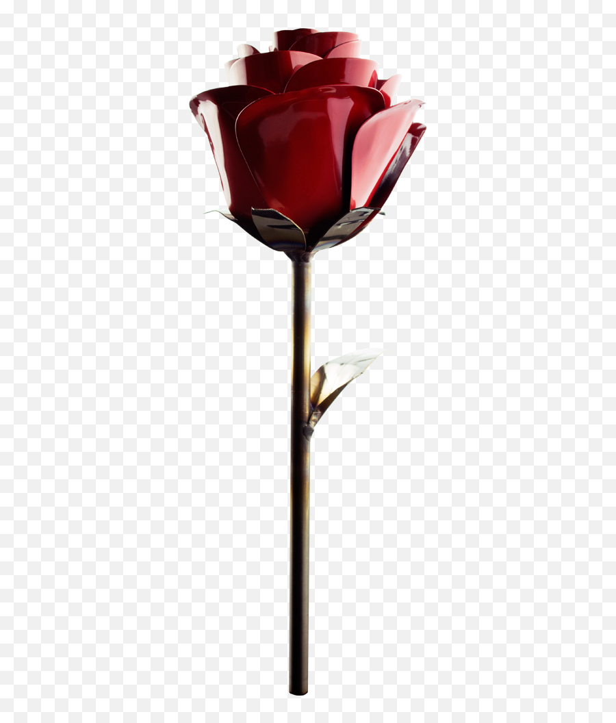 Stainless Rose - Fire Engine Red Rose Fire Flower Png,Rose Png Hd