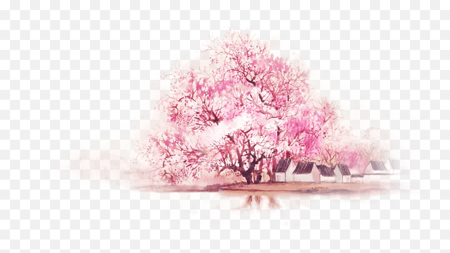 Cherry Blossom Painting Wallpapers - Wallpaper Cave Cherry Blossom Watercolor Painting Png,Sakura Tree Png
