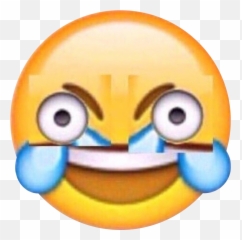 Overview For Swaffles10 - Discord Laughing Crying Emoji png