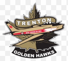 Trenton - Goldenhawkslogo1480435 Quinte News Trenton Golden Hawks Logo Png,Hawks Logo Png