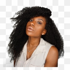 Natural Color Kinky Curly Full Lace - Wig png