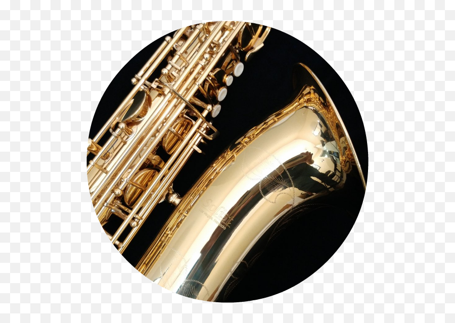 Download Hd Barisax Circle Generic Test Pic - Baritone Baritone Saxophone Png,Saxophone Transparent Background
