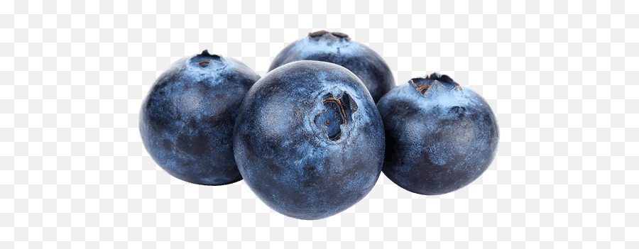 Blueberries Storage Controlled Atmosphere Ultra Low - Png Image Yaban Mersini Png,Blueberries Icon
