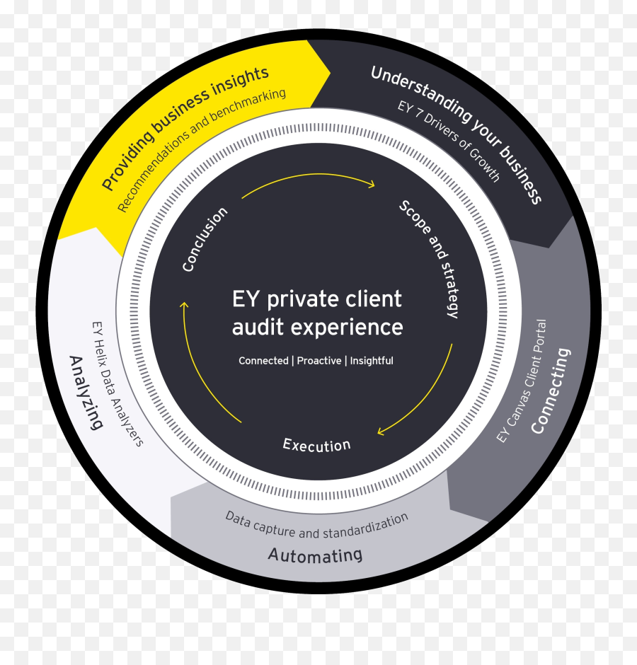 The Ey Private Client Audit Experience U2013 Luxembourg - Circle Png,Client Png
