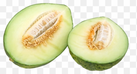 Premium Png Collection - Bulk Download Melon,Cantaloupe Png
