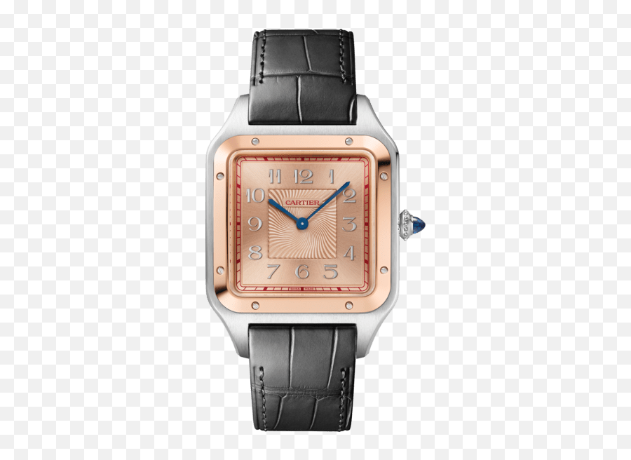 Crw2sa0025 - Santosdumont Watch Extralarge Model Hand Cartier Santos Dumont Platinum Png,Icon A5 Model