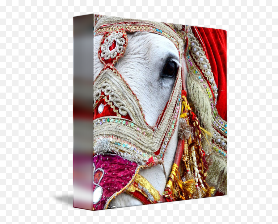 Decorated White Horse Indian Wedding By Jessica Angley - Wedding White Horse Png,White Horse Png