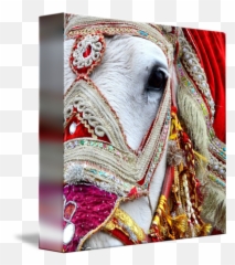 Decorated White Horse Indian Wedding By Jessica Angley - Wedding White Horse Png,White Horse Png