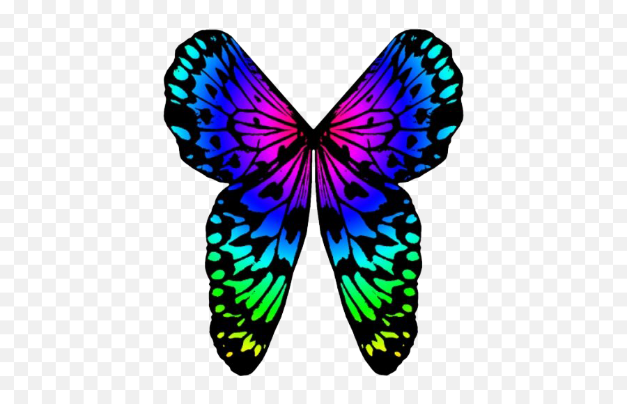 Rainbow Butterfly Png Image Background Arts - Colorful Butterfly Wings Png,Colorful Butterfly Icon