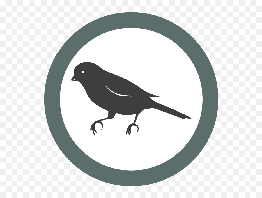 The University Of Leeds Take Action Petaorguk People - Old World Flycatchers Png,Black Canary Icon