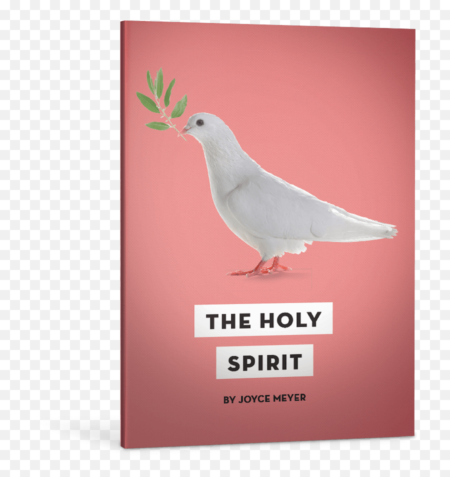 The Holy Spirit - Homing Pigeon Png,Holy Spirit Icon