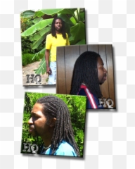 Making Dreadlocks - Learn How To Start Dreads And Make U0027em Dreadlocks Png,Dreads Png