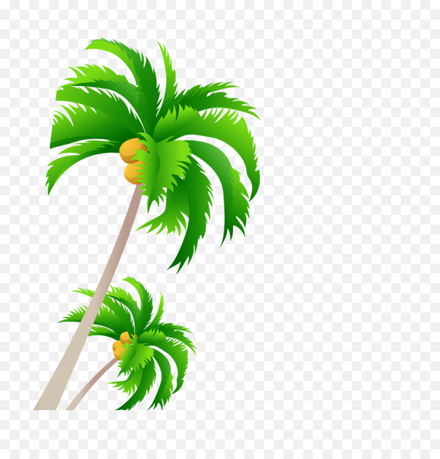 Palm Trees Vector Graphics Portable Network Coconut - Free Palm Tree Vector Png,Jungle Tree Png
