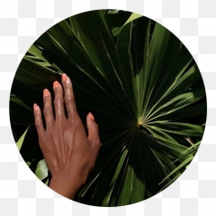 Paloma Beauty Heights Mercantile - Circle Png,Paloma Png