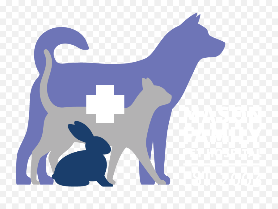 Terms U0026 Conditions Mason Family Pet Hospital Png Animal Contract Icon