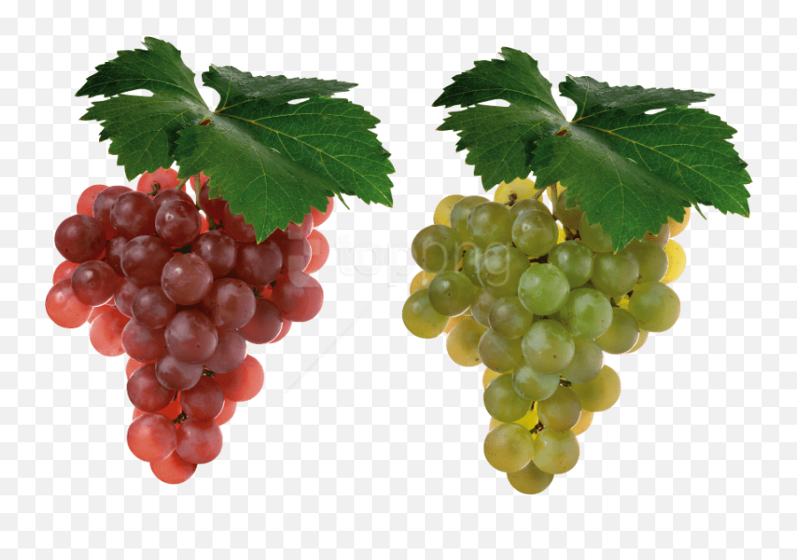 Download Free Png Grapes Images Background - Grapes Fruit,Grapes Png