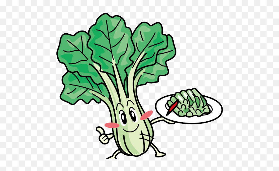 Cabbage Clipart Bok Choy - Bok Choy Png Download Full Bok Choy Clipart,Cabbage Png