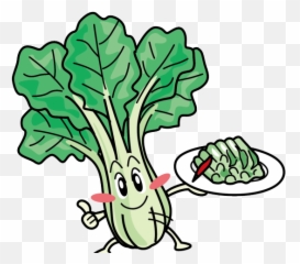 Cabbage Clipart Bok Choy - Bok Choy Png Download Full Bok Choy Clipart,Cabbage Png