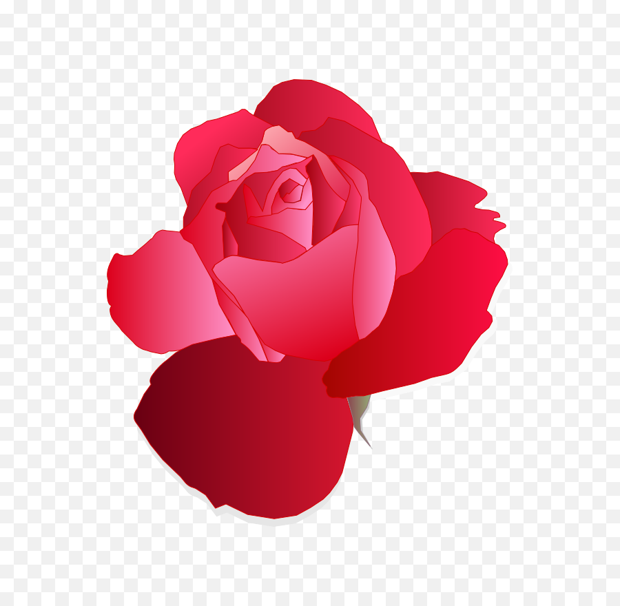 Pinkplantflower Png Clipart - Royalty Free Svg Png Red Roses Cute Clipart,Red Rose Png