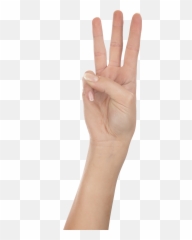 Transparent Png Clipart Free Download - Three Hand Png,Fingers Png